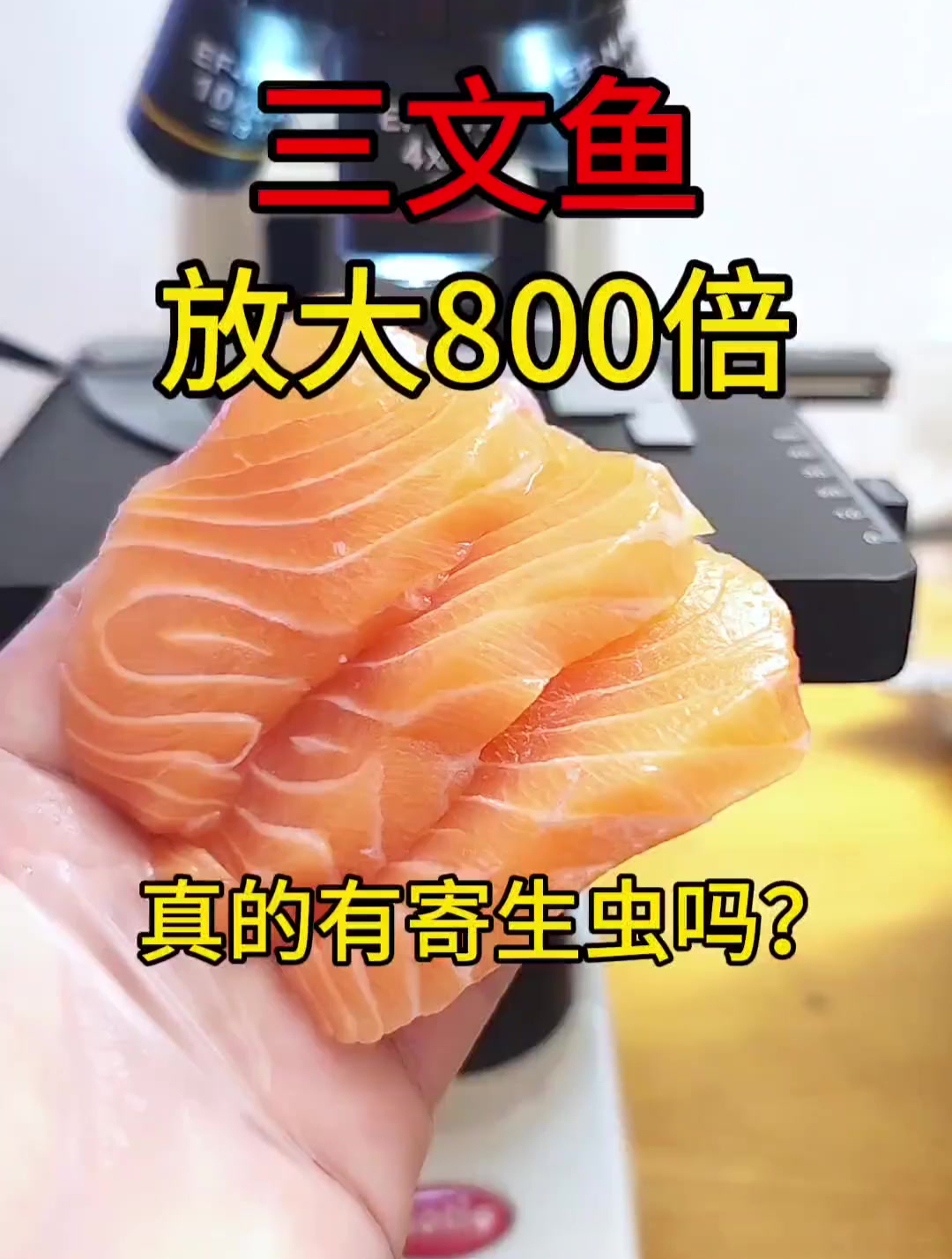 三文鱼有寄生虫吗?显微镜下的三文鱼,里面“小可爱”比你都活泼