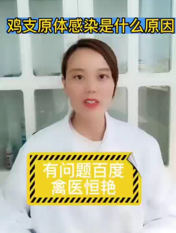 禽医恒艳谈鸡支原体是怎么引起的鸡支原体感染解决办法