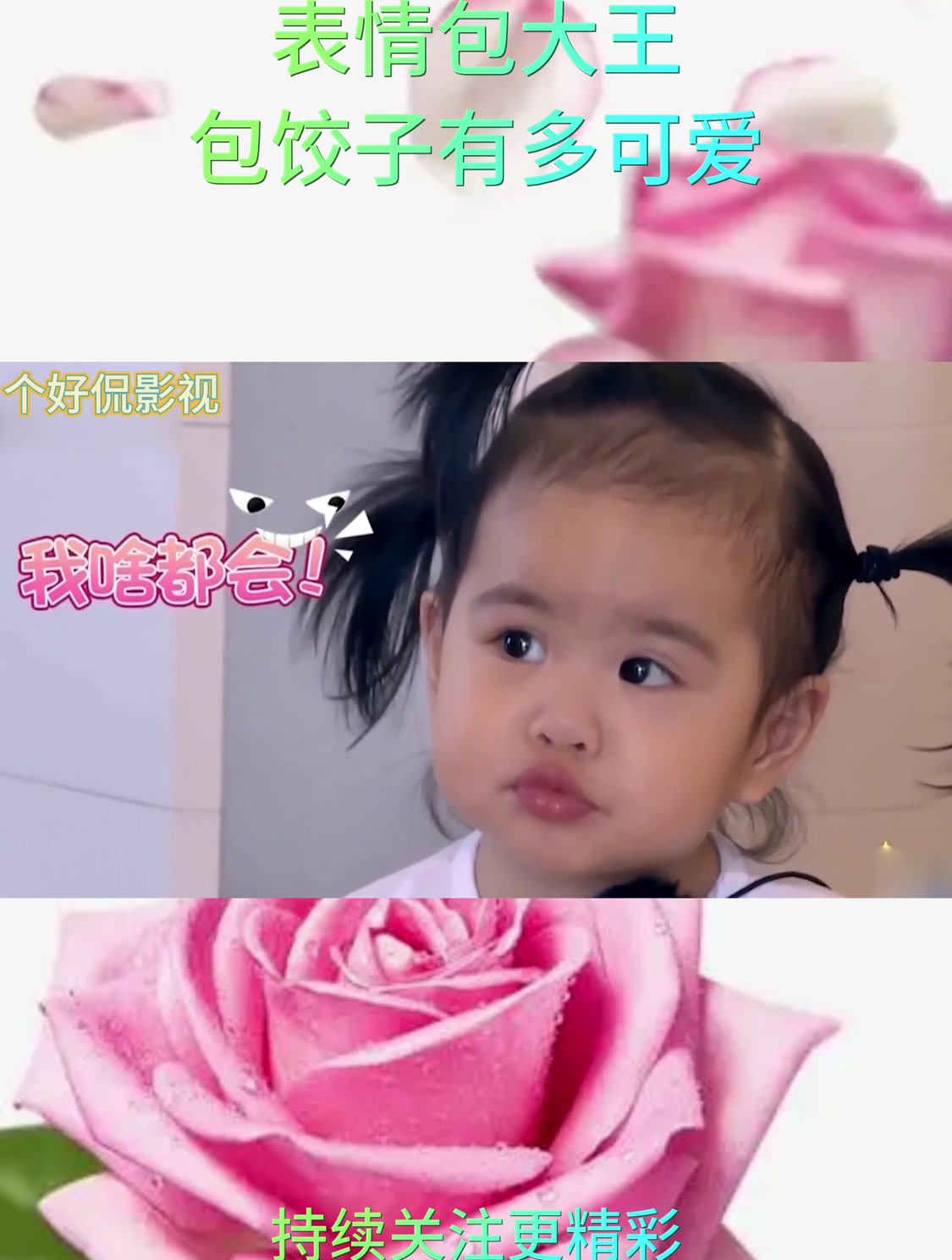 表情包大王包饺子有多可爱