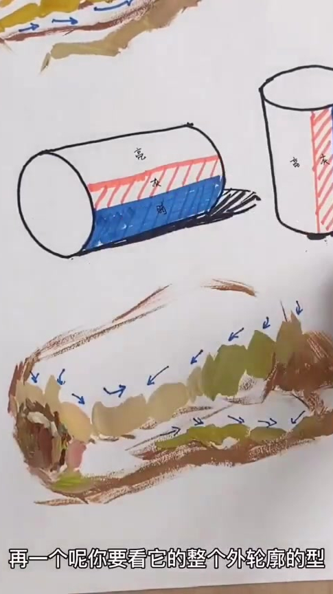 白菜单体色彩静物详解!