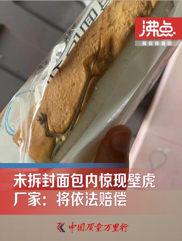 女子在未拆封面包内发现半只壁虎 厂家:已接到顾客反映 会按法律规定赔偿