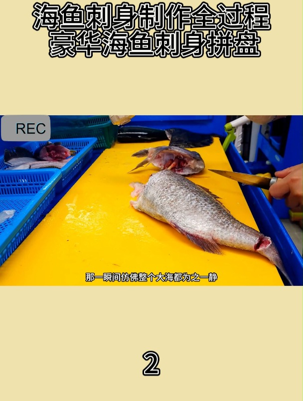 海鱼刺身制作全过程 豪华海鱼刺身拼盘2