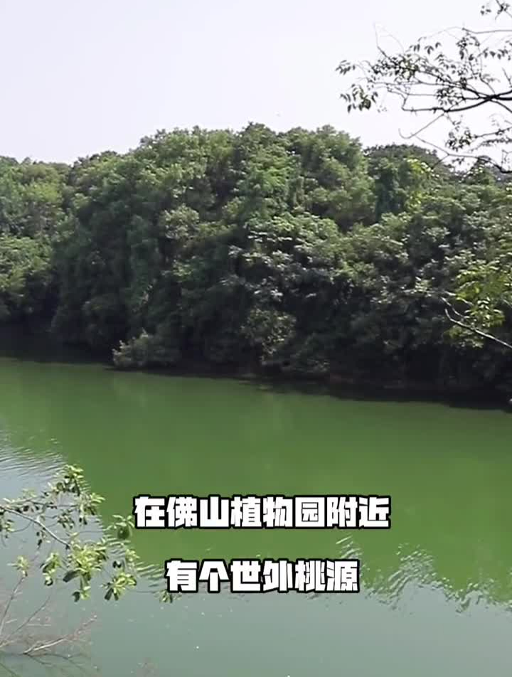 佛山有家隐世山庄,猪肚煲石山羊、茶油鸡