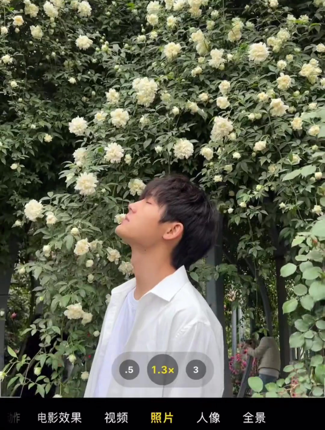 蔷薇花陷入旋转花海 拍照技巧.mp4