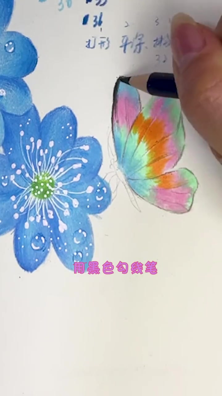 一只漂亮的蝴蝶,彩铅画
