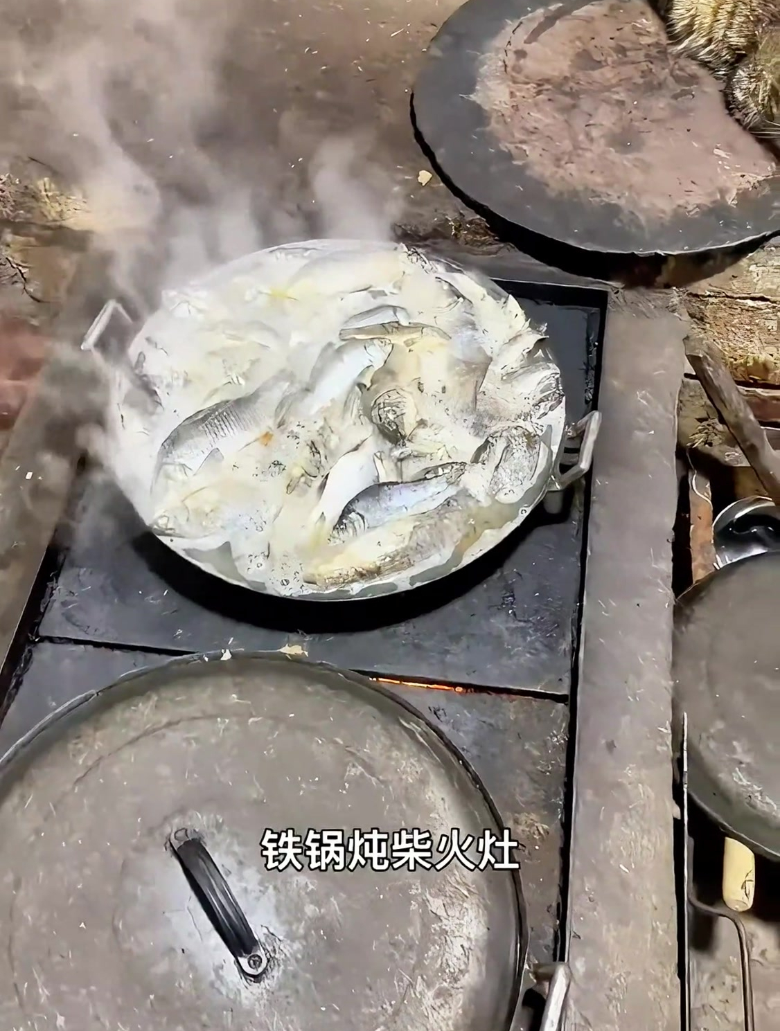 自制猫饭,柴火灶铁锅炖