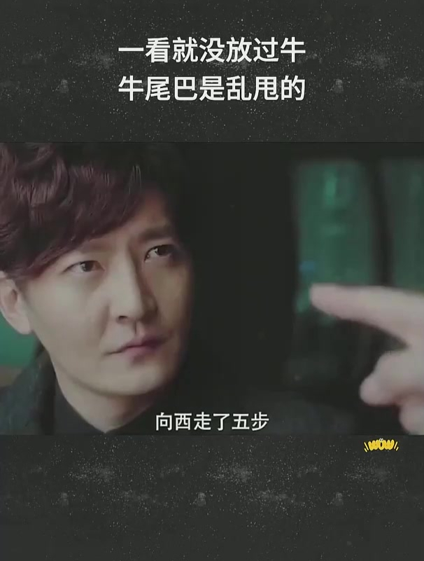 一看就没放过牛,牛尾巴是乱甩的