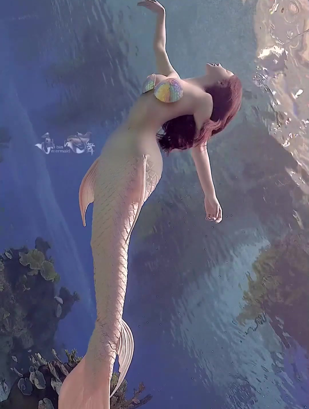 潜水的泳衣美女,这身材真是绝了,这样的美人鱼你会喜欢吗?
