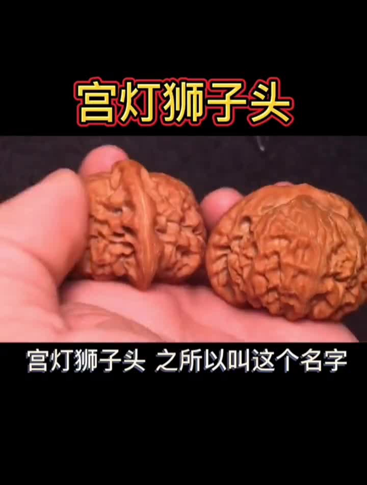 宫灯狮子头介绍文玩核桃文玩核桃品种介绍万物皆可盘