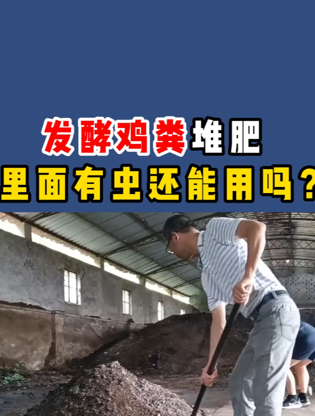 发酵鸡粪堆肥,里面有虫还能用吗?