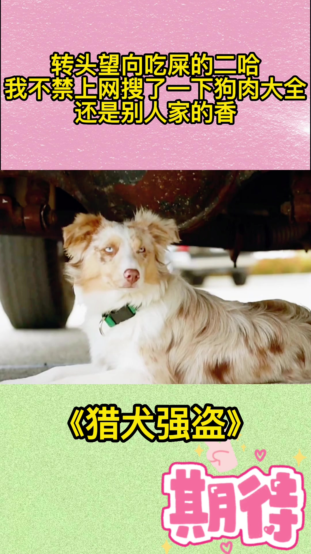 转头望向吃屎的二哈,不禁上网搜了一下狗肉大全,还是别人家的香