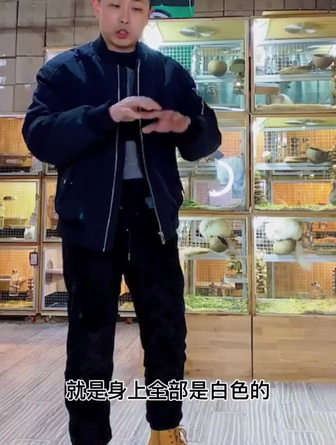 纯白和粉白的区别很多人把纯白叫极品银斑