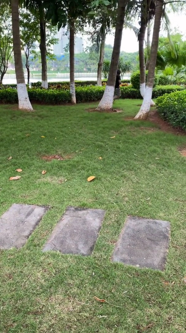 恐龙又出没了 绿头鱼 搞笑视频 迪迦奥特曼