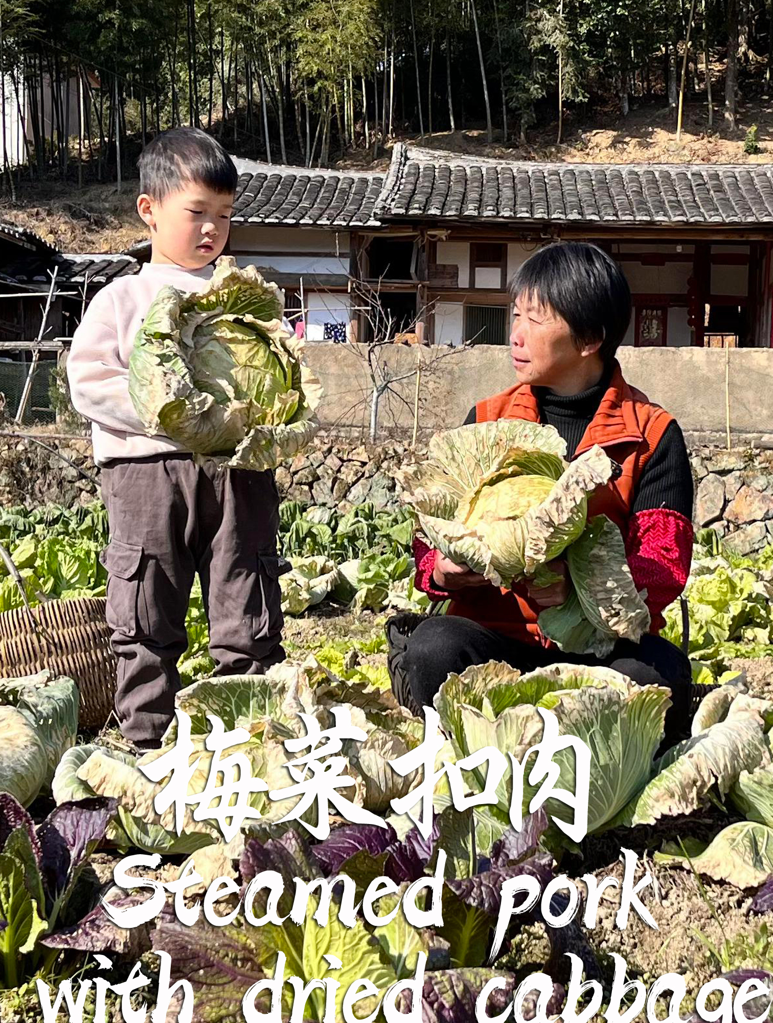 阿嬷用包菜晒梅菜干,蒸梅菜扣肉,软烂喷香下饭美味!