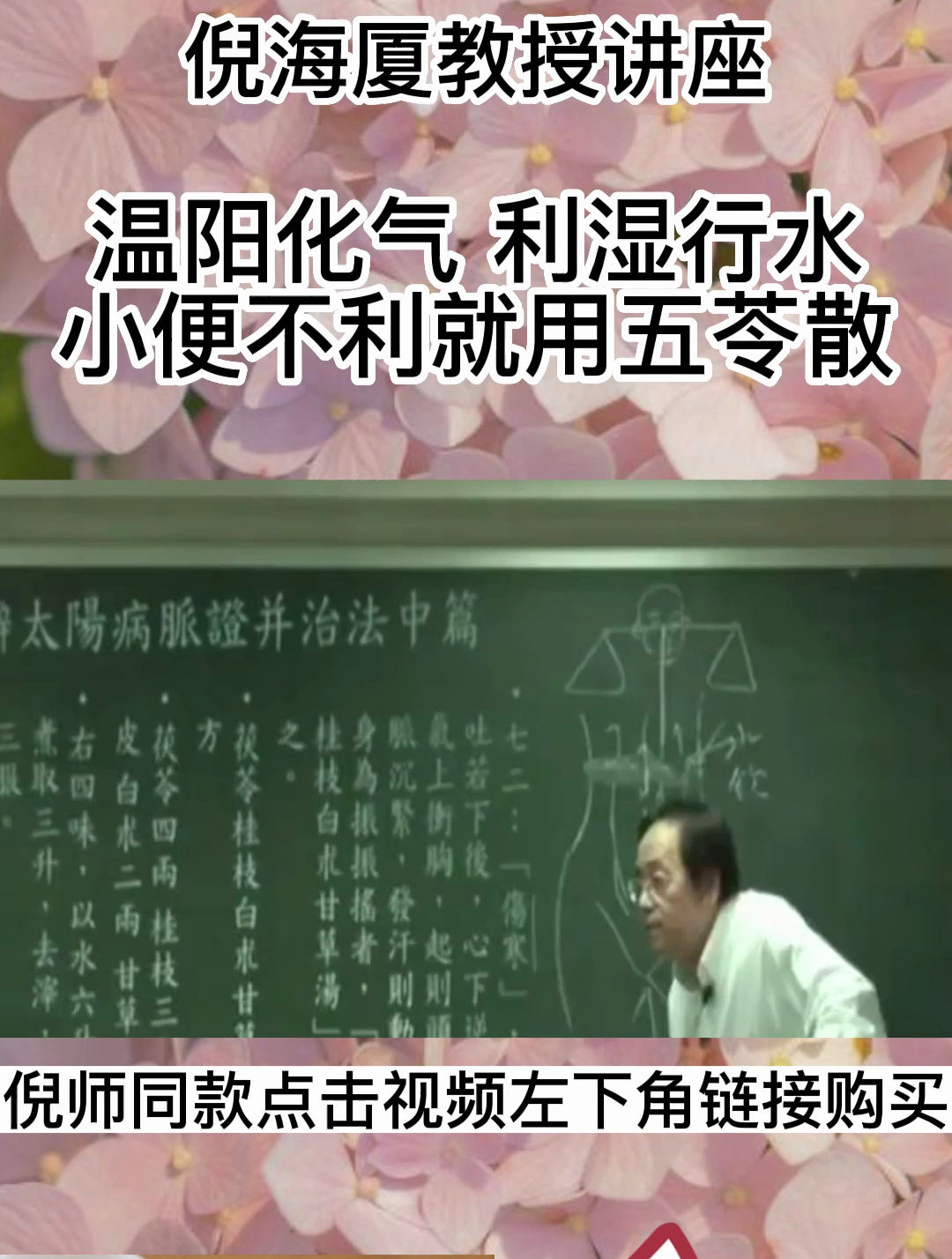 倪海厦讲授:五苓散的功效与作用