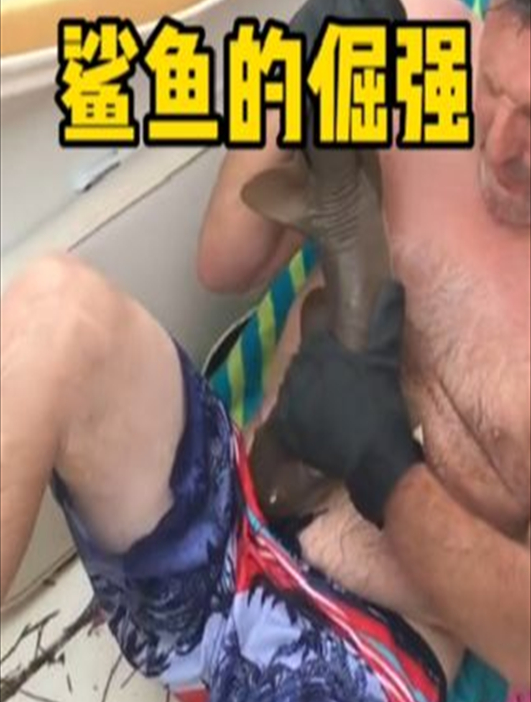 小鲨鱼死死咬住男人的肚子不放2