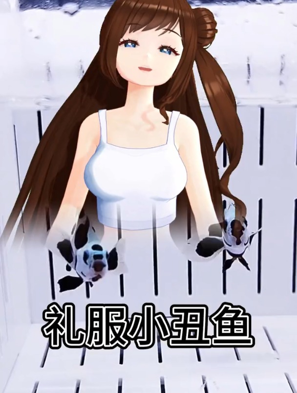 礼服小丑多少钱?公子礼服小丑、熊猫礼服小丑、黑雪印礼服小丑