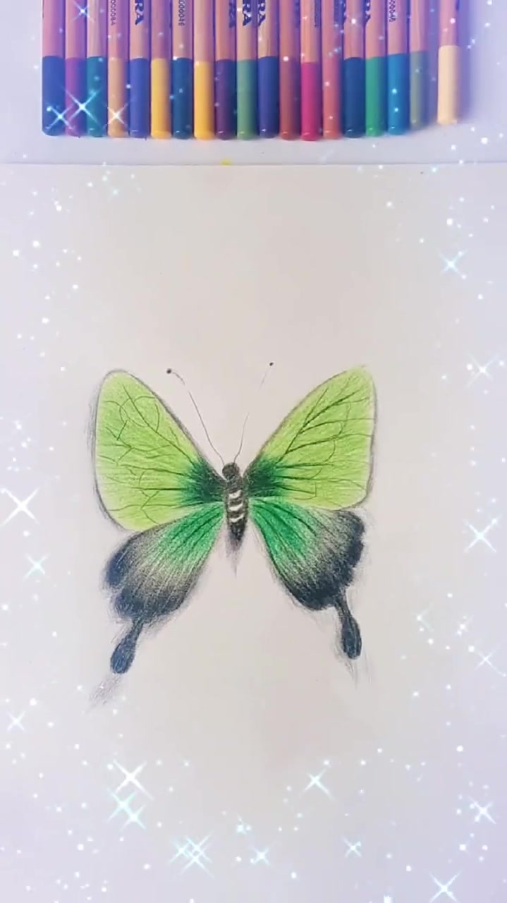 彩铅教程,绿色蝴蝶哦