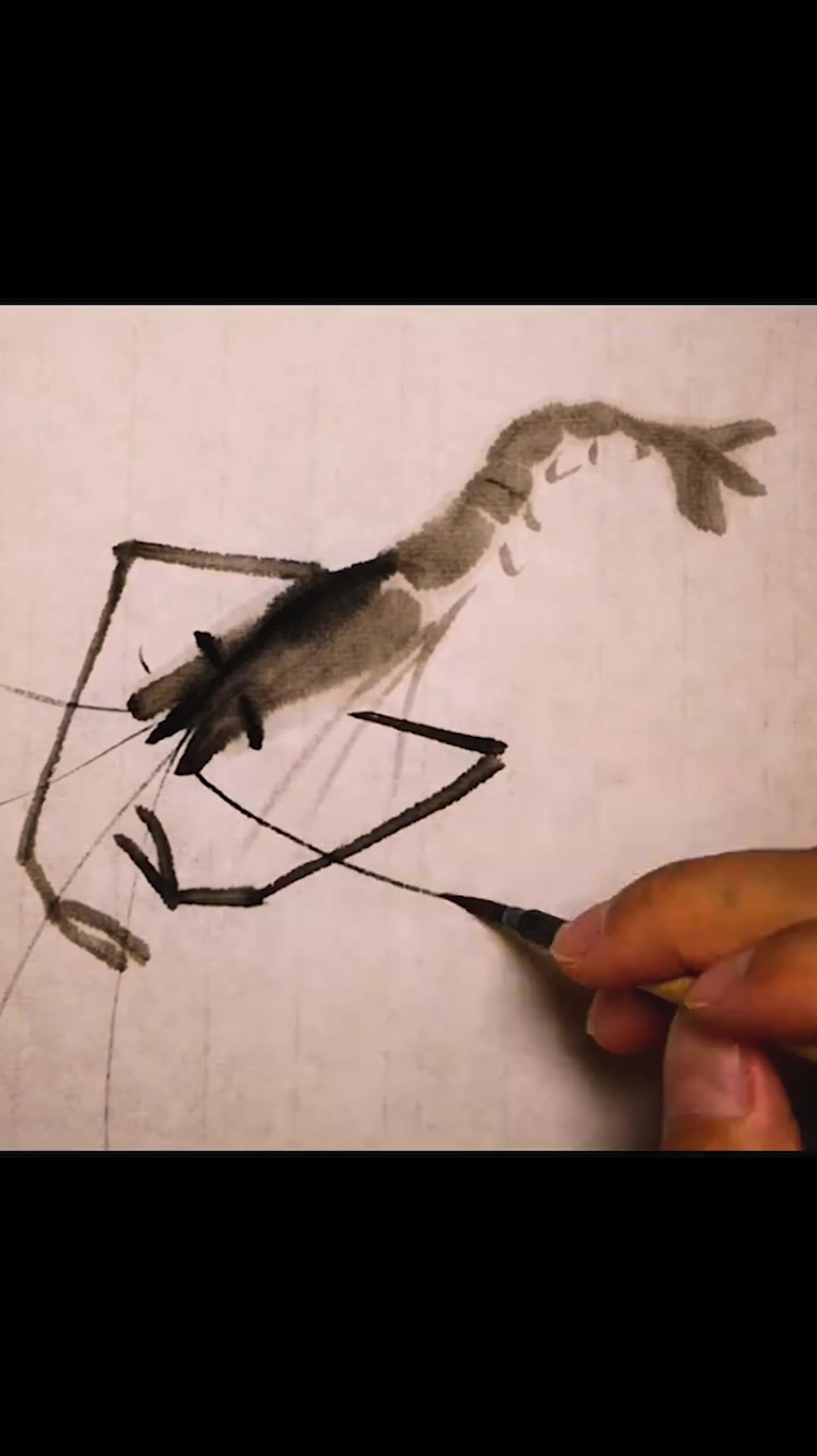 虾米国画,看看怎么样