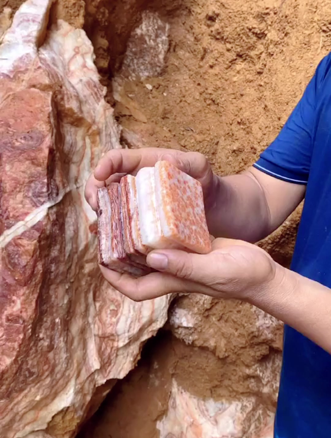 一块猪肉一百W?