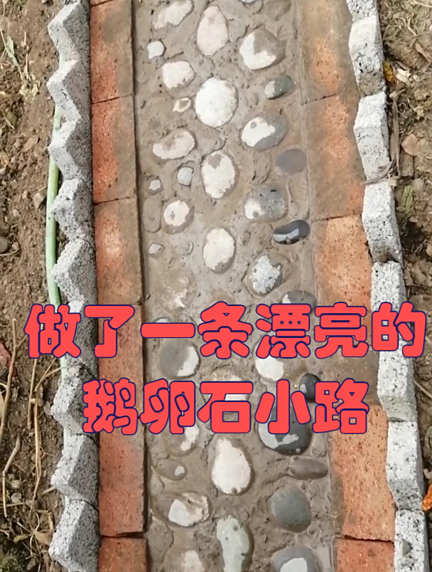 老段打工日常,今天砌了一条好看的鹅卵石小路
