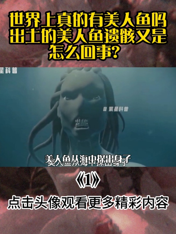 世界上真的有美人鱼吗?出土的美人鱼遗骸又是怎么回事?