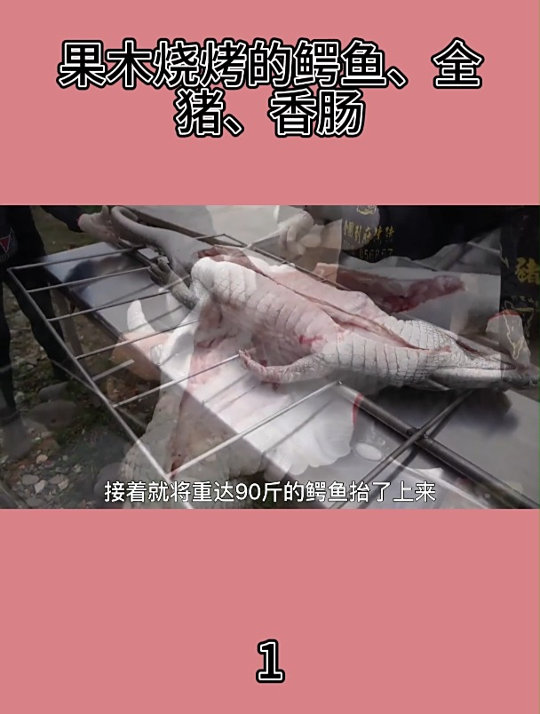 果木烧烤的鳄鱼、全猪、香肠1