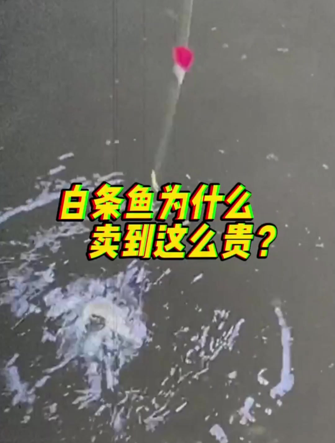 白条鱼为什么卖到这么贵?曾经被嫌弃的鱼,都已经卖到18元一斤