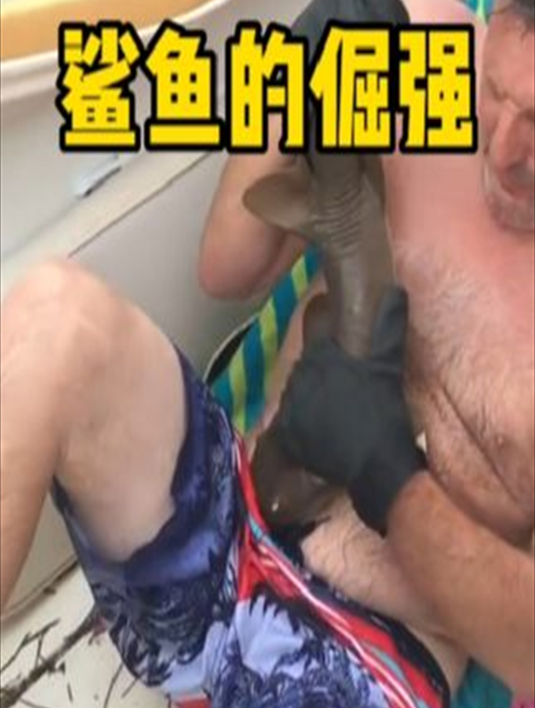 小鲨鱼死死咬住男人的肚子不放1