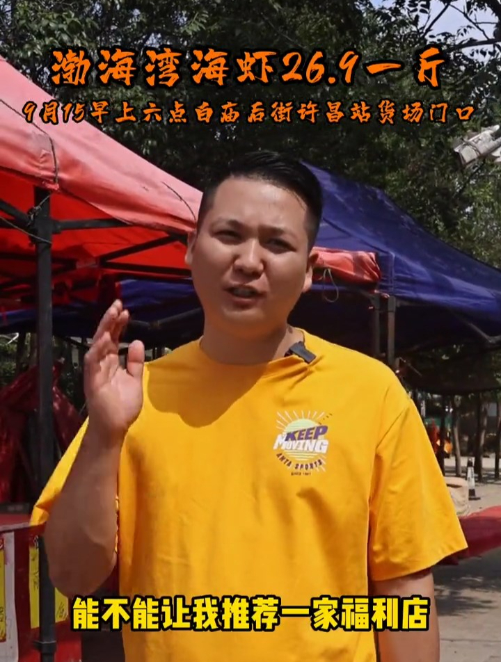 渤海湾海虾最低多少钱一斤,和我一起去看看!平常你买贵了么?
