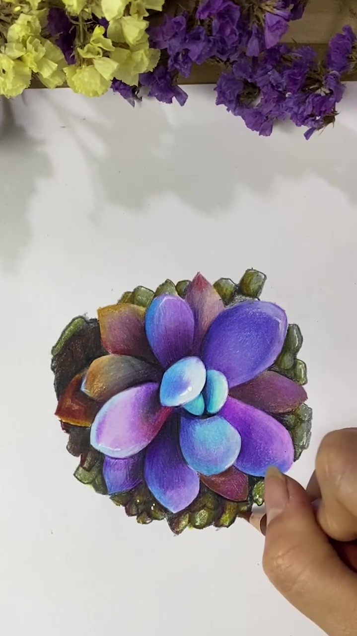 教你如何详细叠色画一个漂亮的多肉