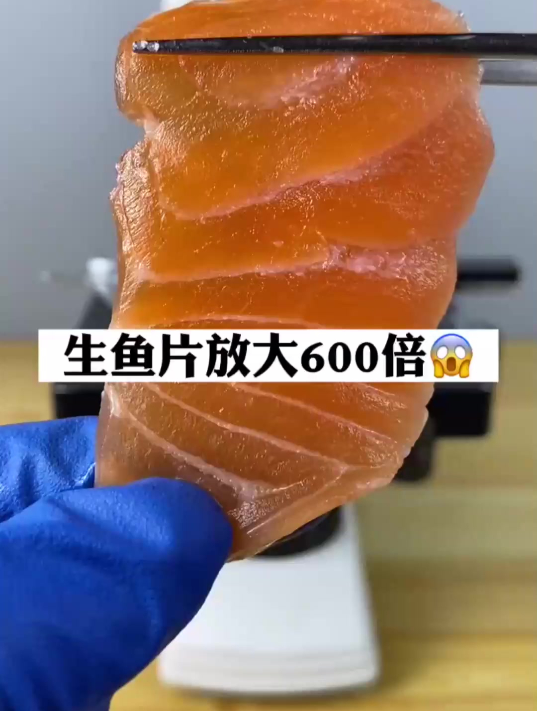 生鱼片放大600倍,里面到底有没有寄生虫,放大解决你的疑惑