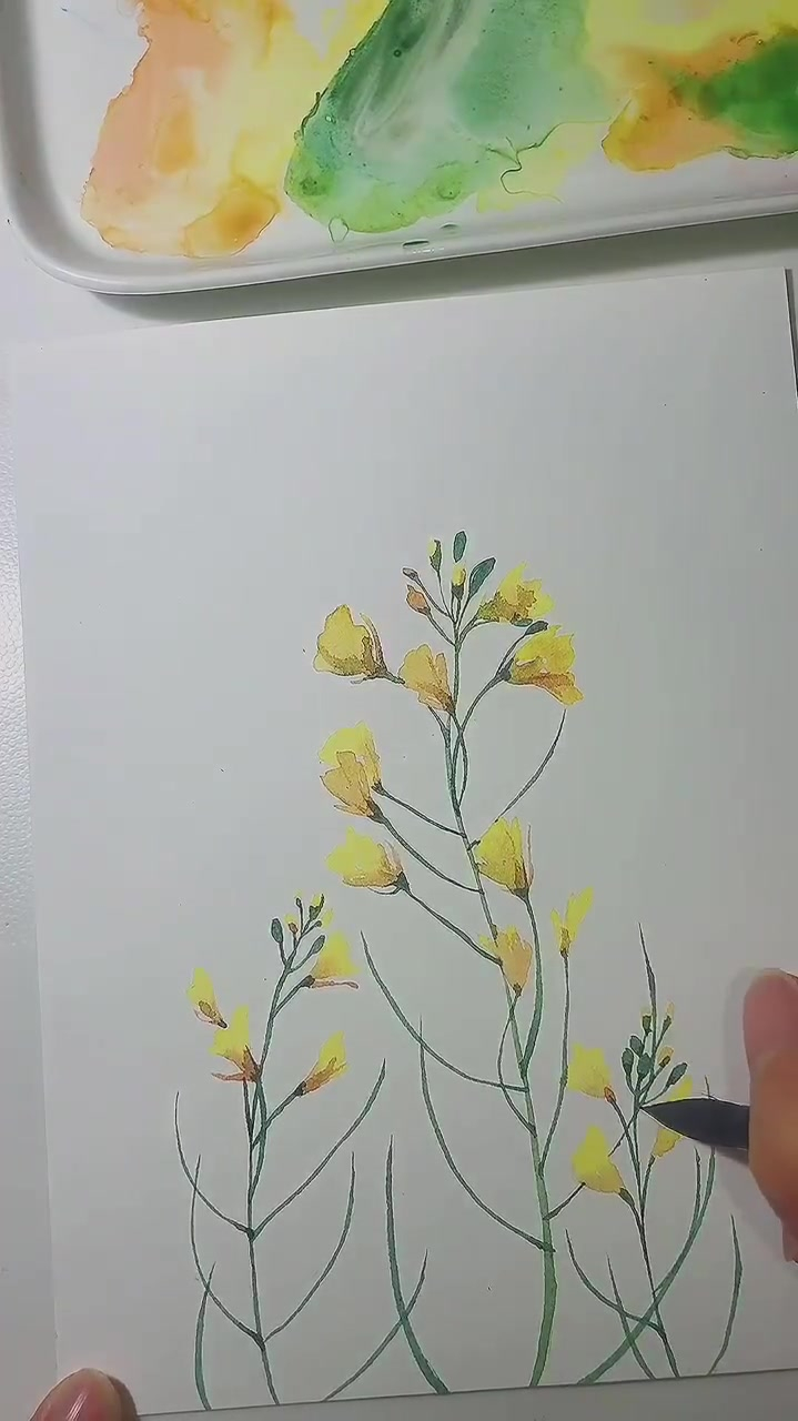 水彩教程,家乡的油菜花都开了吧
