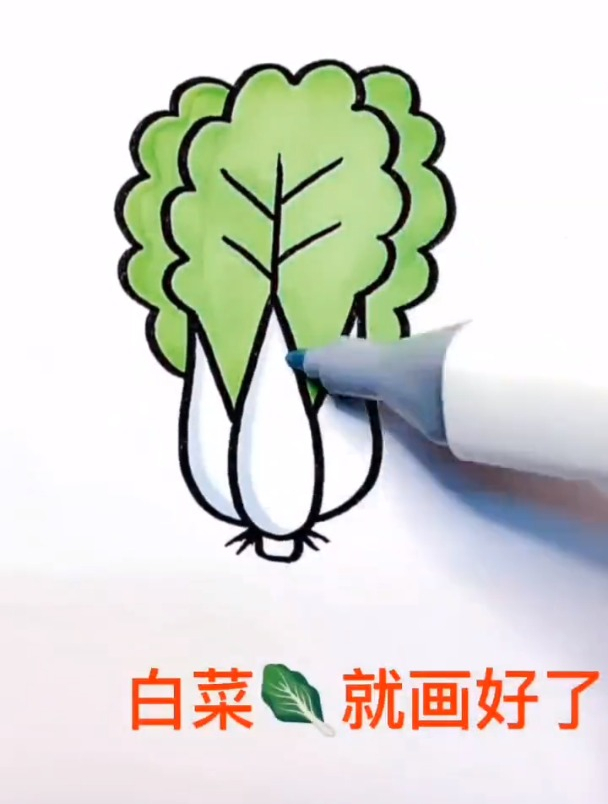中间画两条直线,涂上颜色一棵白菜就画好了~