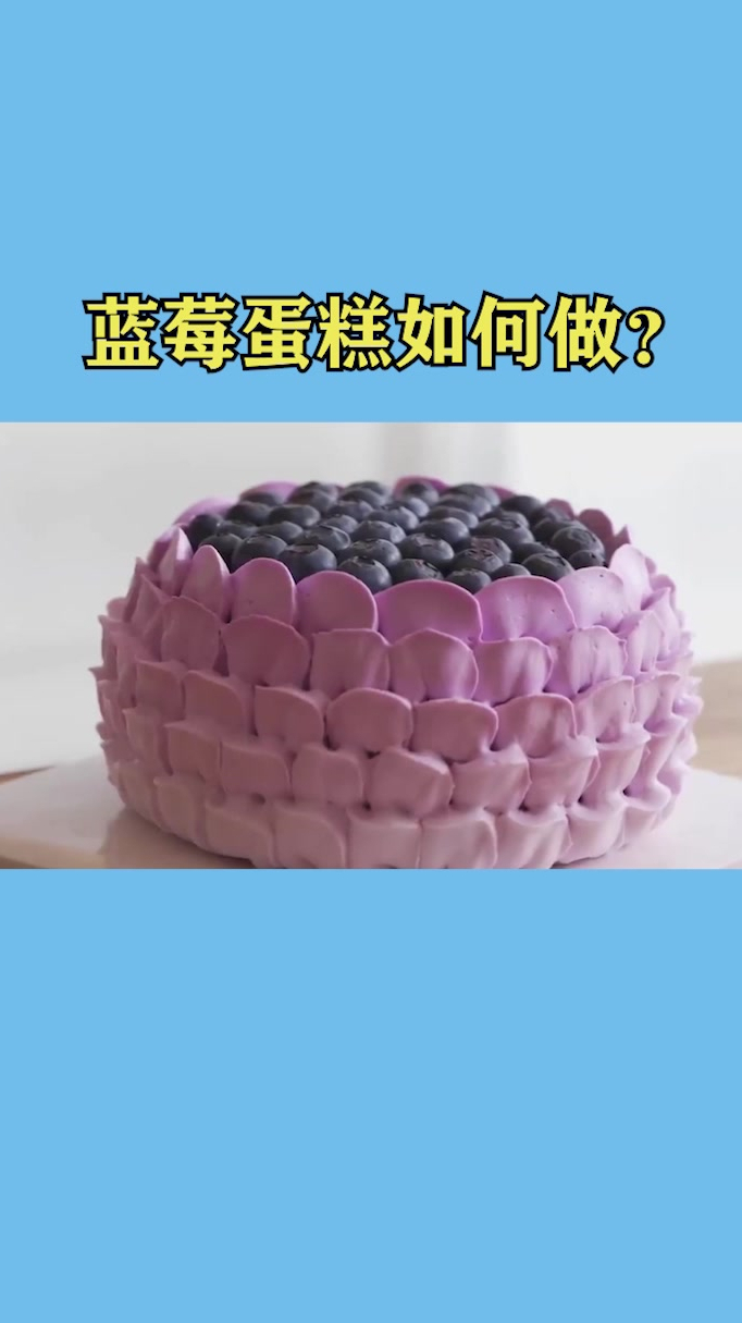 一整个蓝莓蛋糕,自己在家也能做!