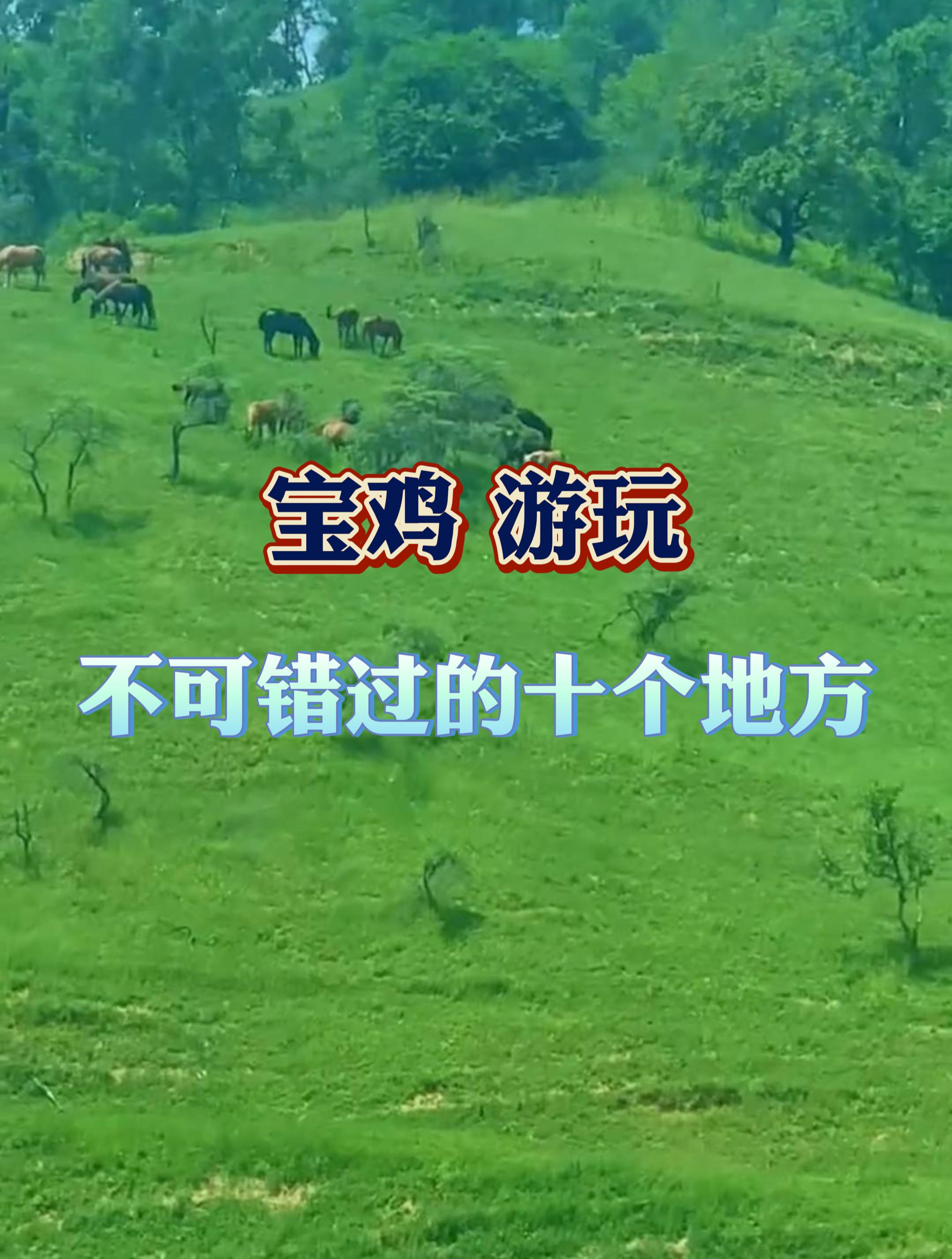 到了宝鸡,不去这十个景点等于白来