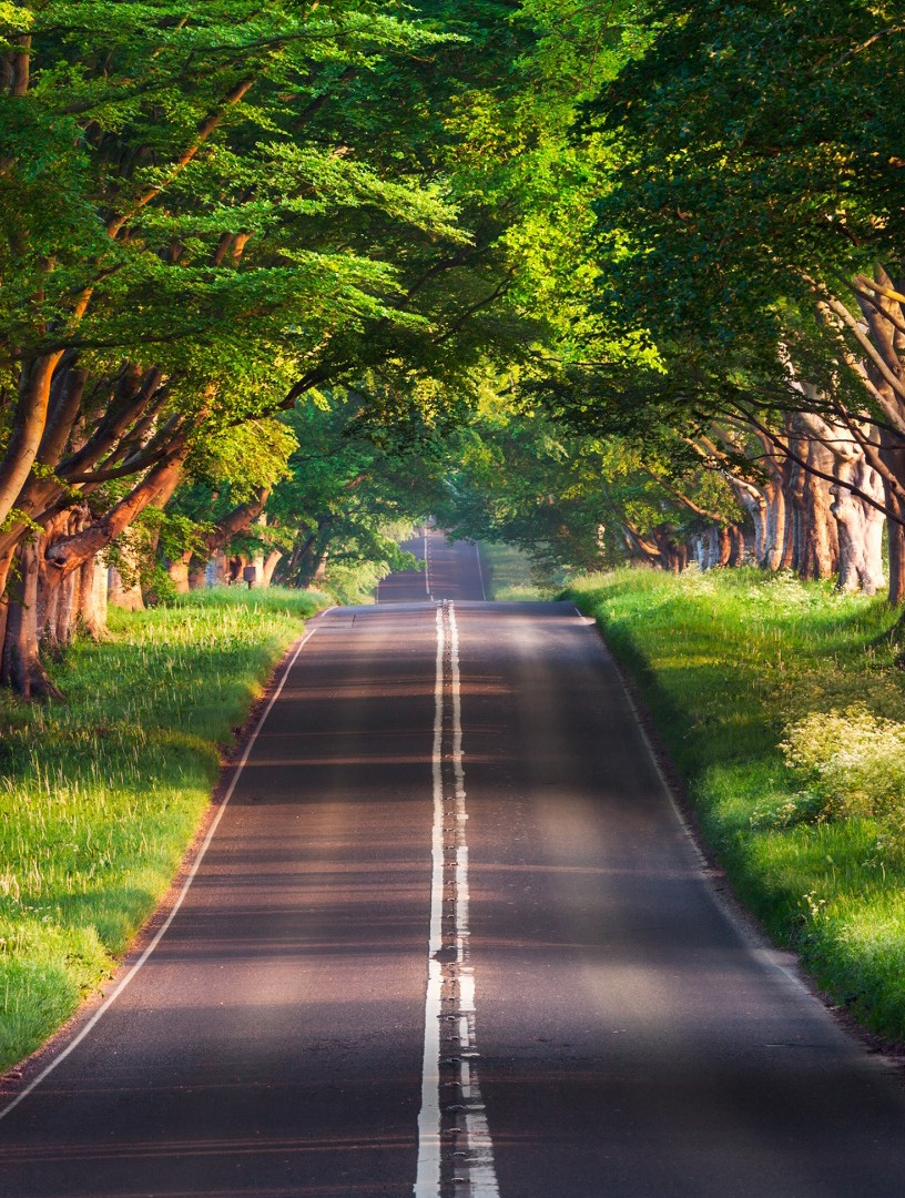 还记得小时候爱吃的方便面叫什么牌子吗?说说看……乡愁记忆