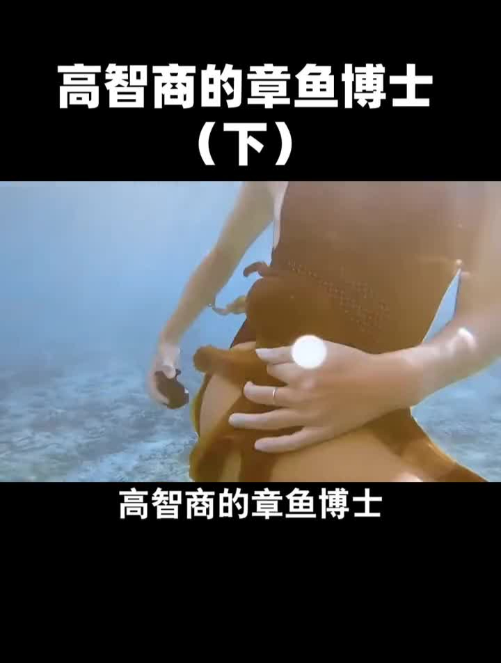 章鱼哥的智商和人类一样!