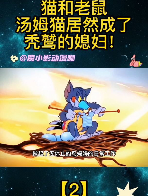 猫和老鼠:汤姆猫居然成了秃鹫的媳妇!「2」