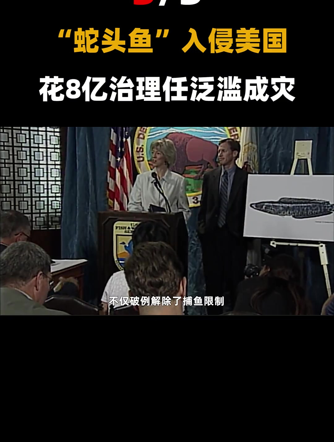 美国的噩梦,中国的美食!“蛇头鱼”入侵(3)