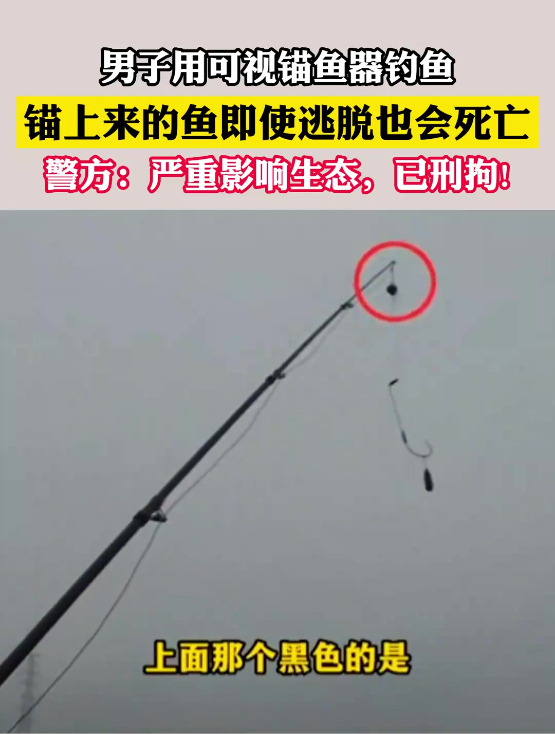 男子用可视锚鱼器钓鱼，锚上来的鱼即使逃脱也会死亡