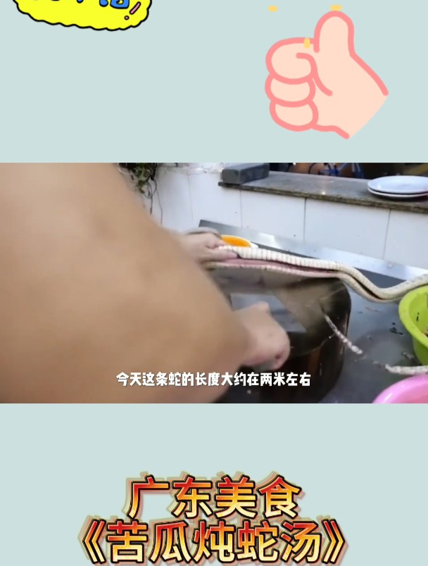 广东美食《苦瓜炖蛇汤》1