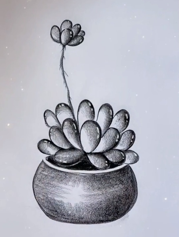 一支笔画画:简单画小多肉