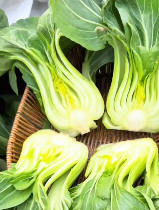黑叶子的油菜“黑叶苏州青”,肉厚梆脆,不挑环境,清脆好吃!