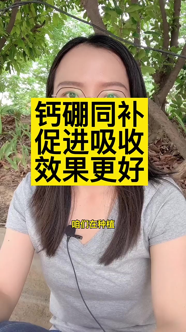 钙硼同补,减少由缺钙硼引起的各种缺素症