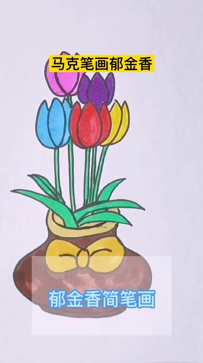 简笔画,使用马克笔画郁金香