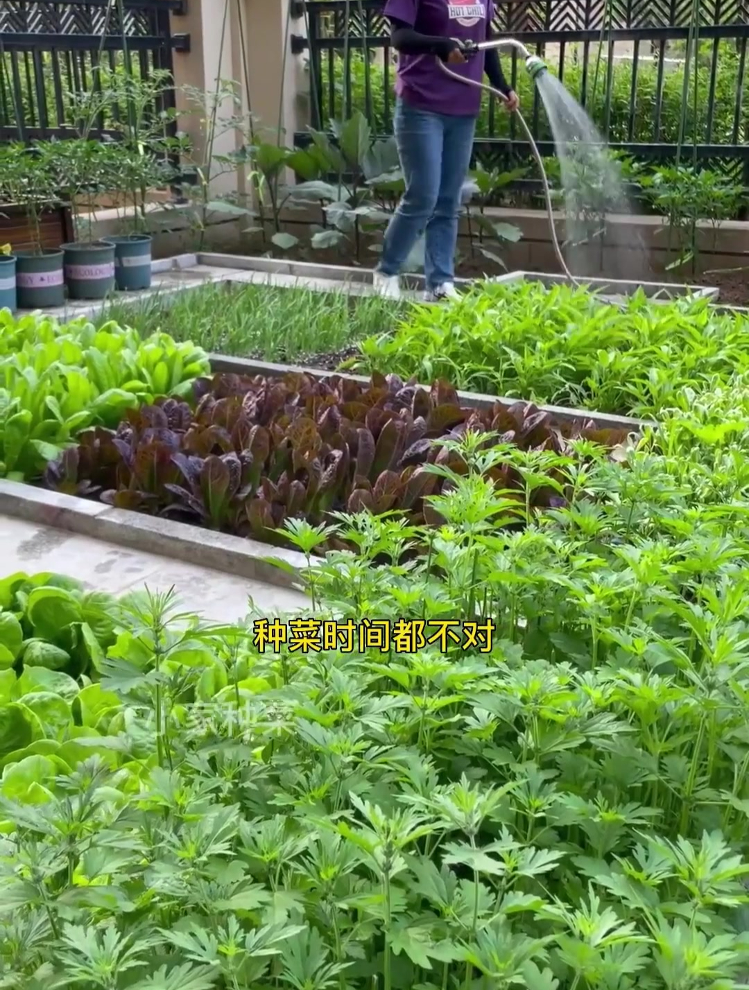 种菜讲究季节 时间一定要选对