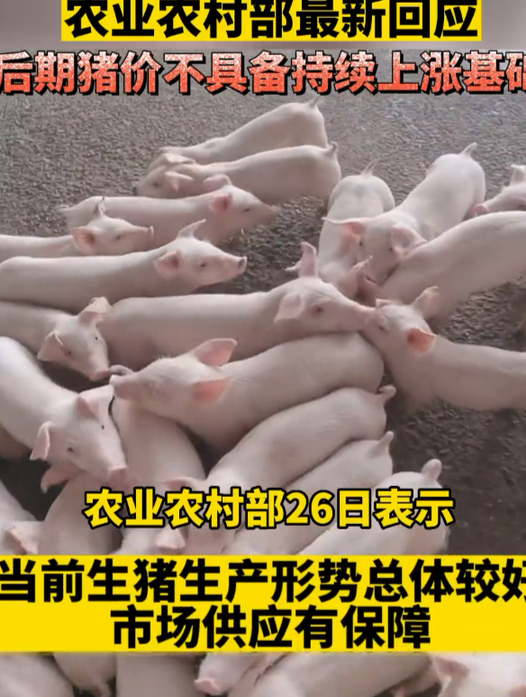 猪肉 价格接下来怎么走?农业农村部 最新回应:后期猪价不具备持续上涨基础