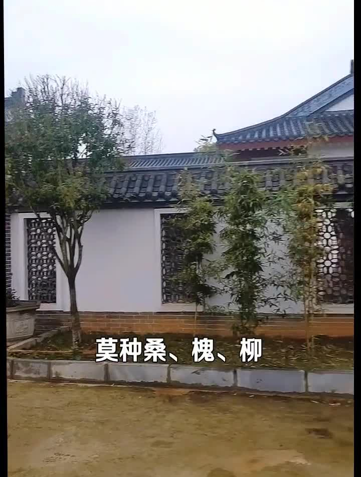 农村小院种植小知识,你学到了吗?建房小知识农村自建房庭院
