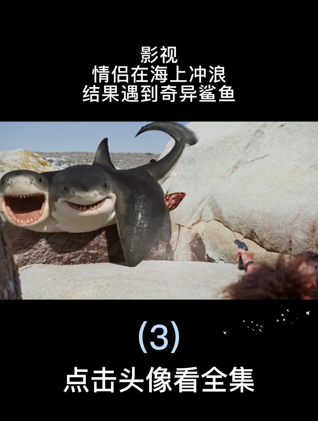影视:情侣在海上冲浪,结果遇到奇异鲨鱼
